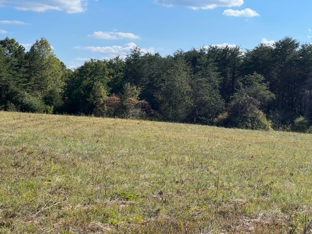 260 Shepard Hills Road Hohenwald, TN 38462 - Photo 35 of 39 Gallery Image 35