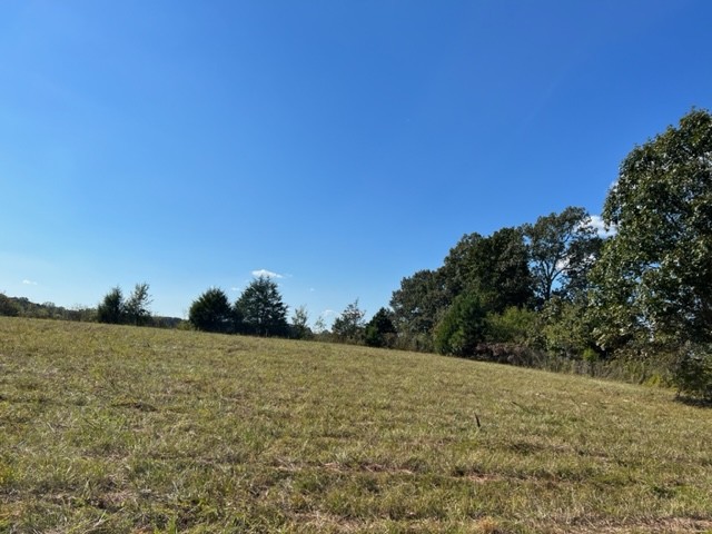 260 Shepard Hills Road Hohenwald, TN 38462 - Photo 36 of 39 Gallery Image 36