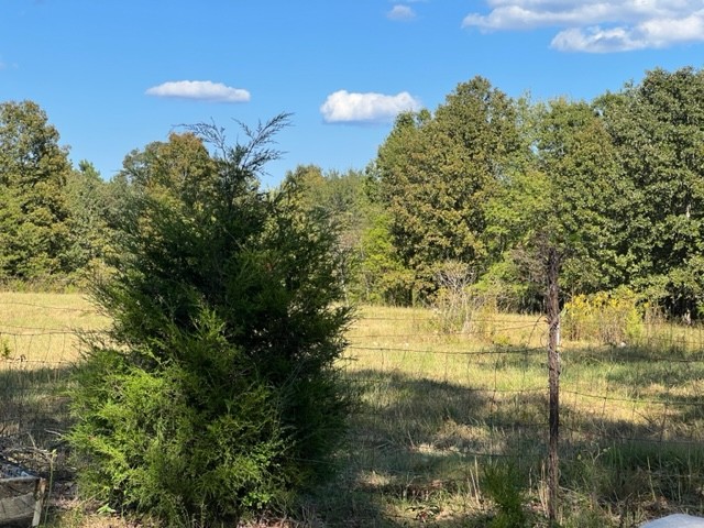 260 Shepard Hills Road Hohenwald, TN 38462 - Photo 10 of 39 Gallery Image 10