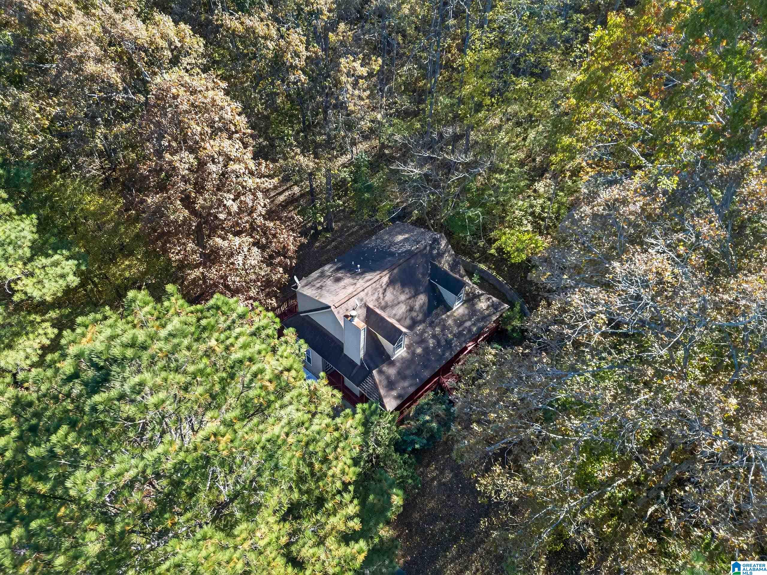 995 Beaver Ridge Drive Ashville, AL 35953 - Photo 6 of 46