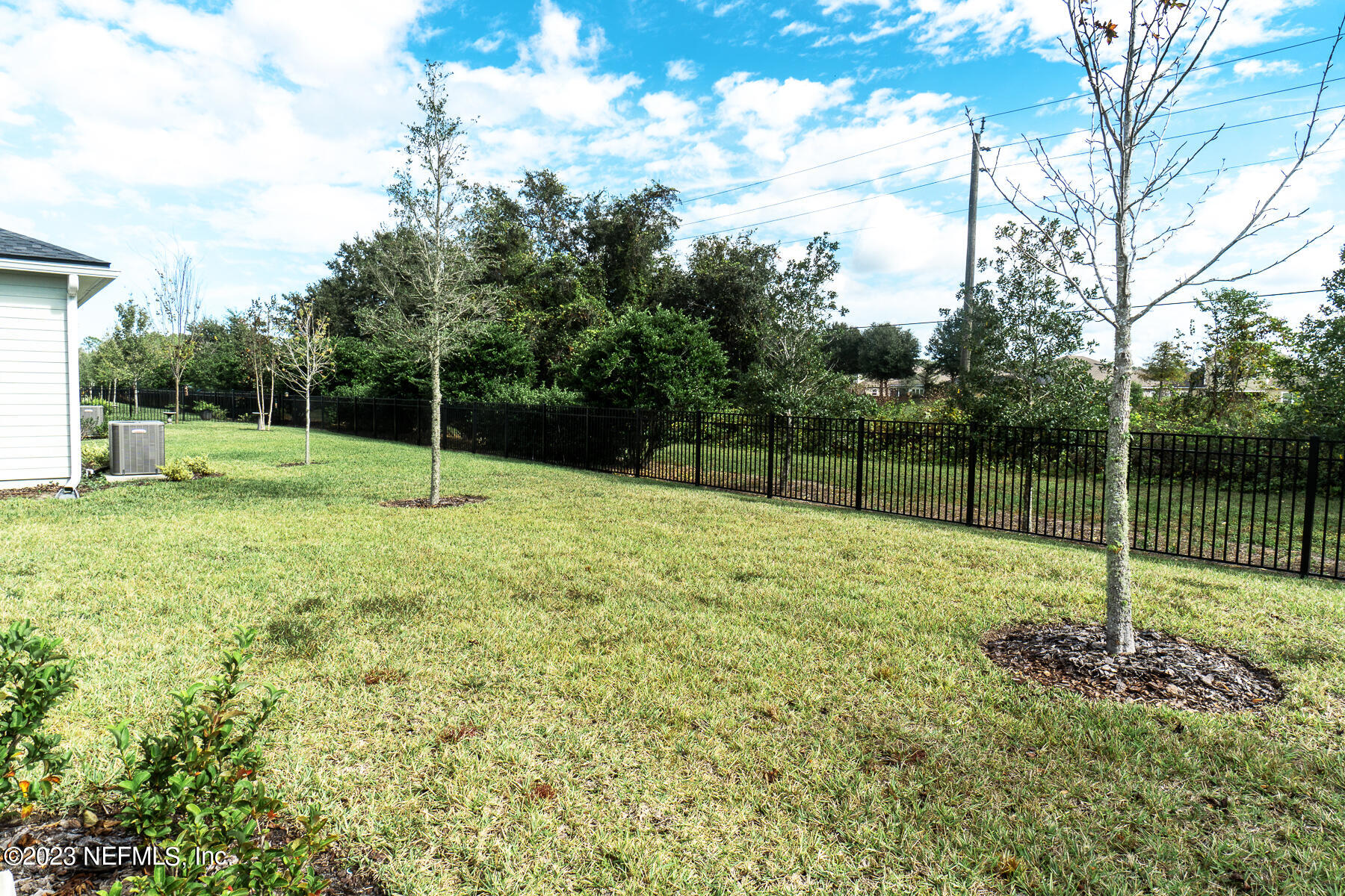 1113 Rustic Ml Drive St. Augustine, FL 32092 - Photo 30 of 62 Ext Backyard b