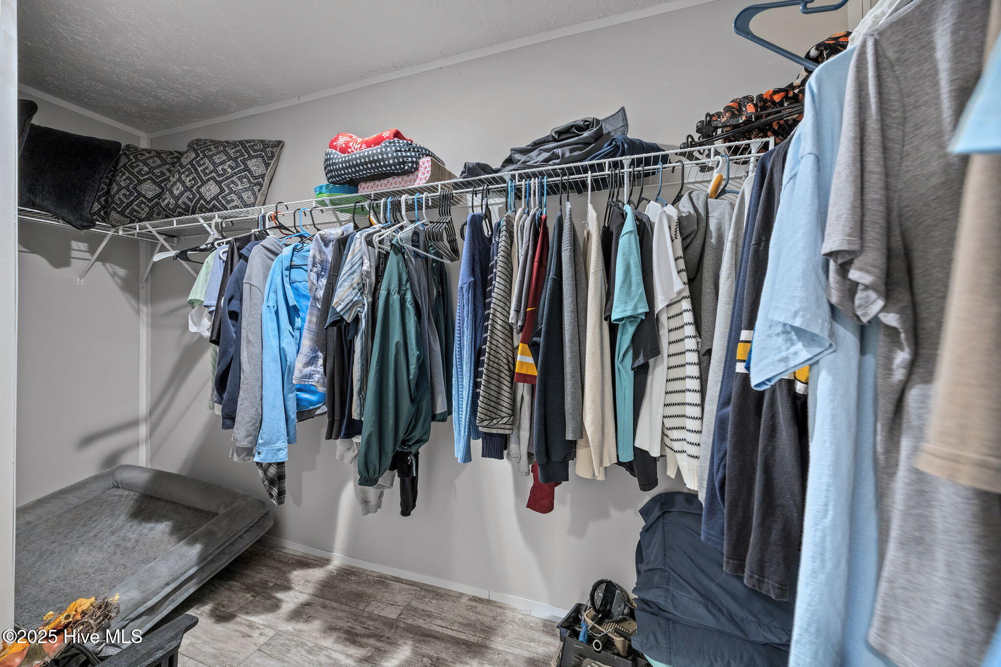 3729 Bryan Hardy Road La Grange, NC 28551 - Photo 19 of 42 3729 Bryan Hardy Road, La Grange, NC