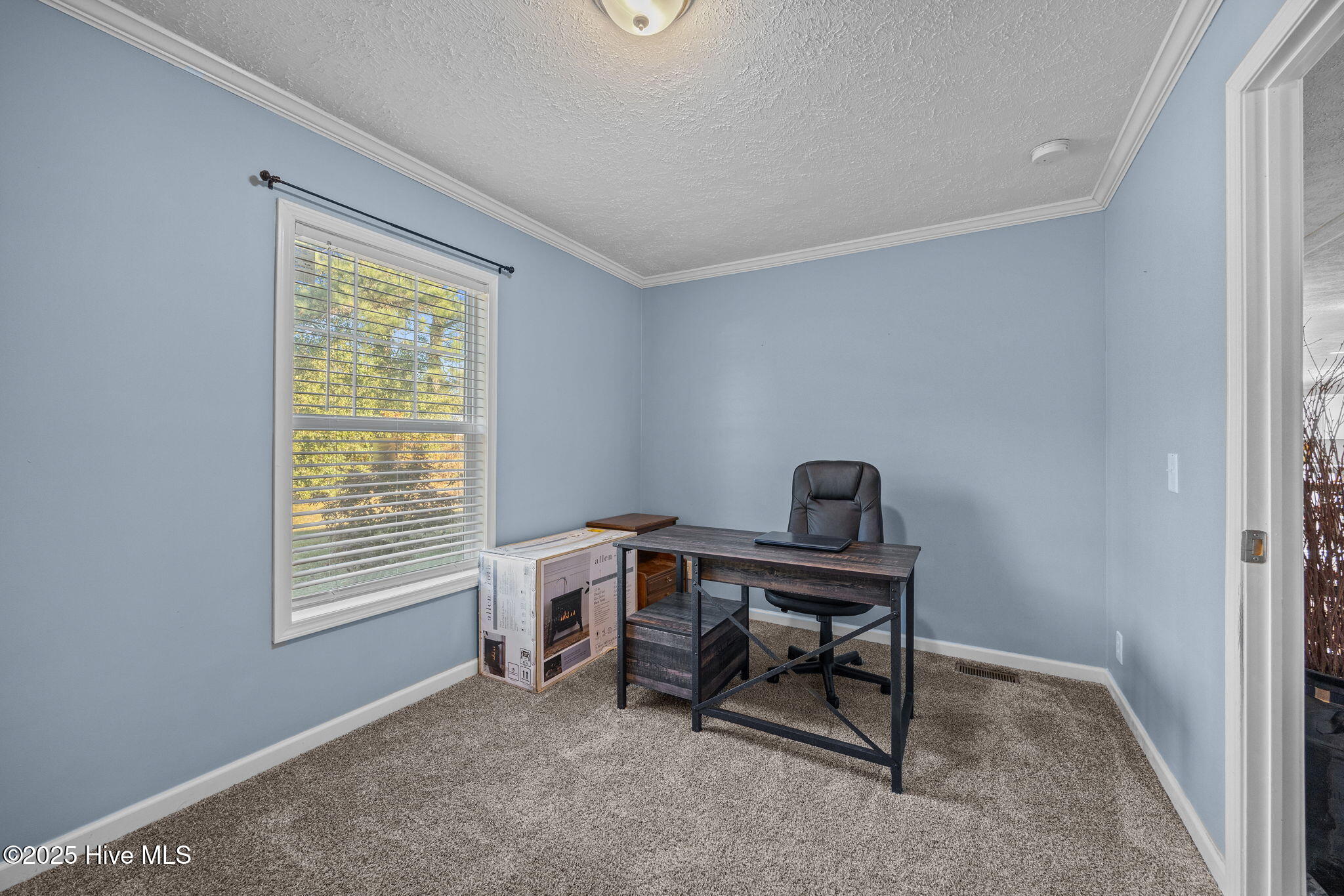 3729 Bryan Hardy Road La Grange, NC 28551 - Photo 28 of 42 3729 Bryan Hardy Road, La Grange, NC