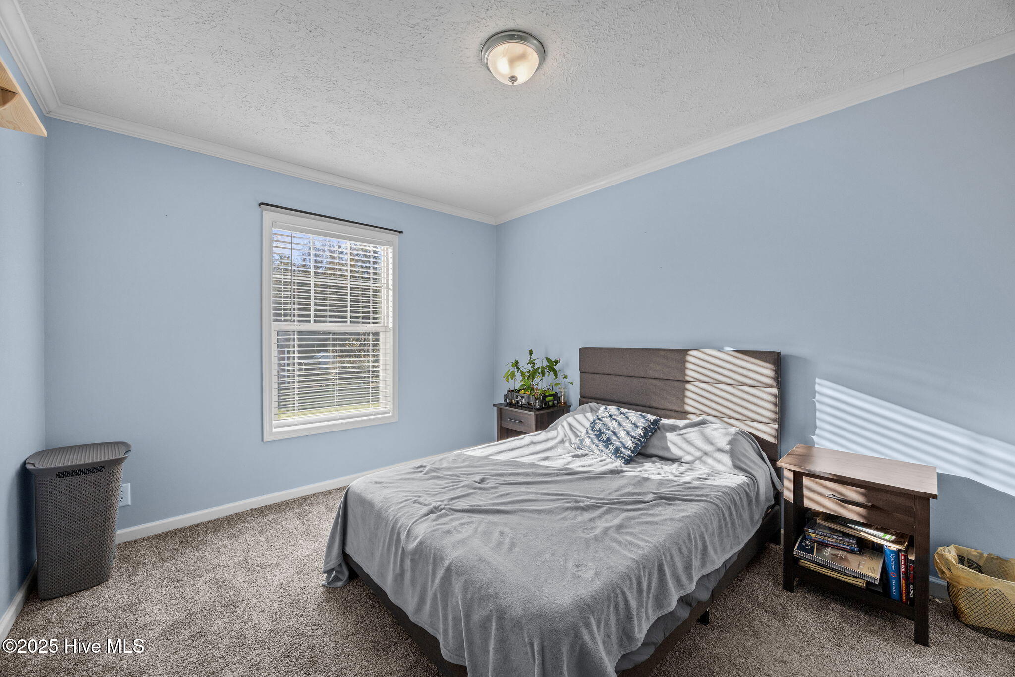 3729 Bryan Hardy Road La Grange, NC 28551 - Photo 29 of 42 3729 Bryan Hardy Road, La Grange, NC