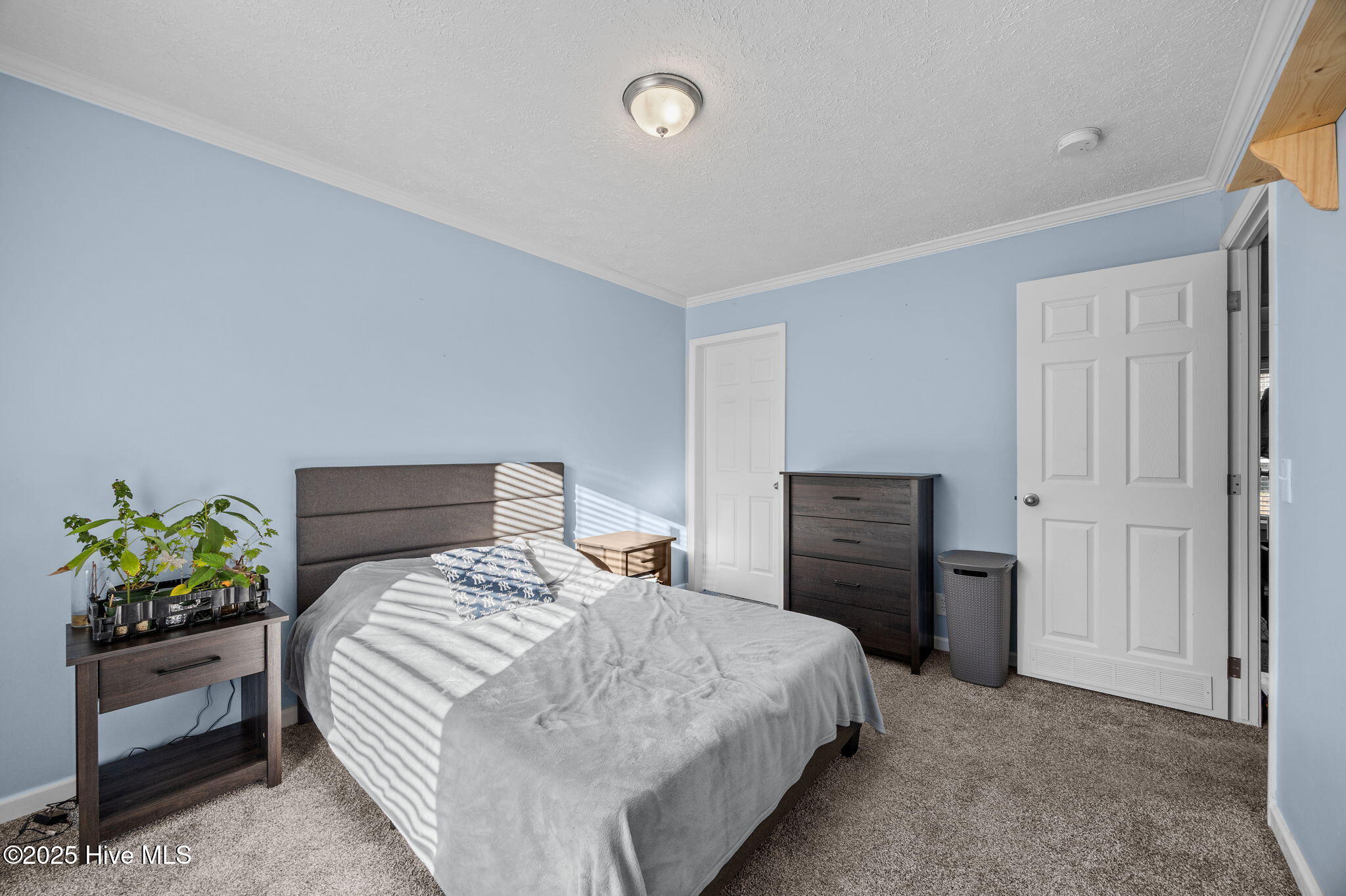 3729 Bryan Hardy Road La Grange, NC 28551 - Photo 31 of 42 3729 Bryan Hardy Road, La Grange, NC