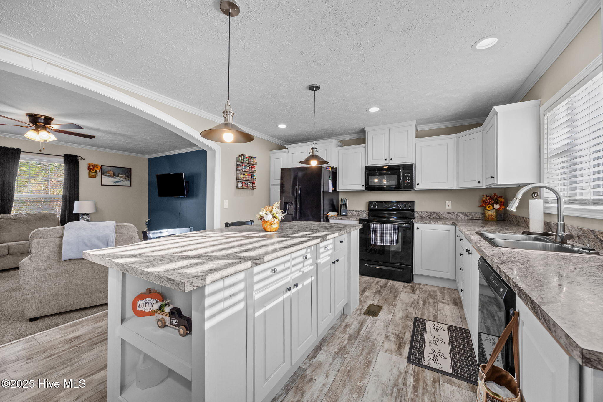 3729 Bryan Hardy Road La Grange, NC 28551 - Photo 9 of 42 3729 Bryan Hardy Road, La Grange, NC