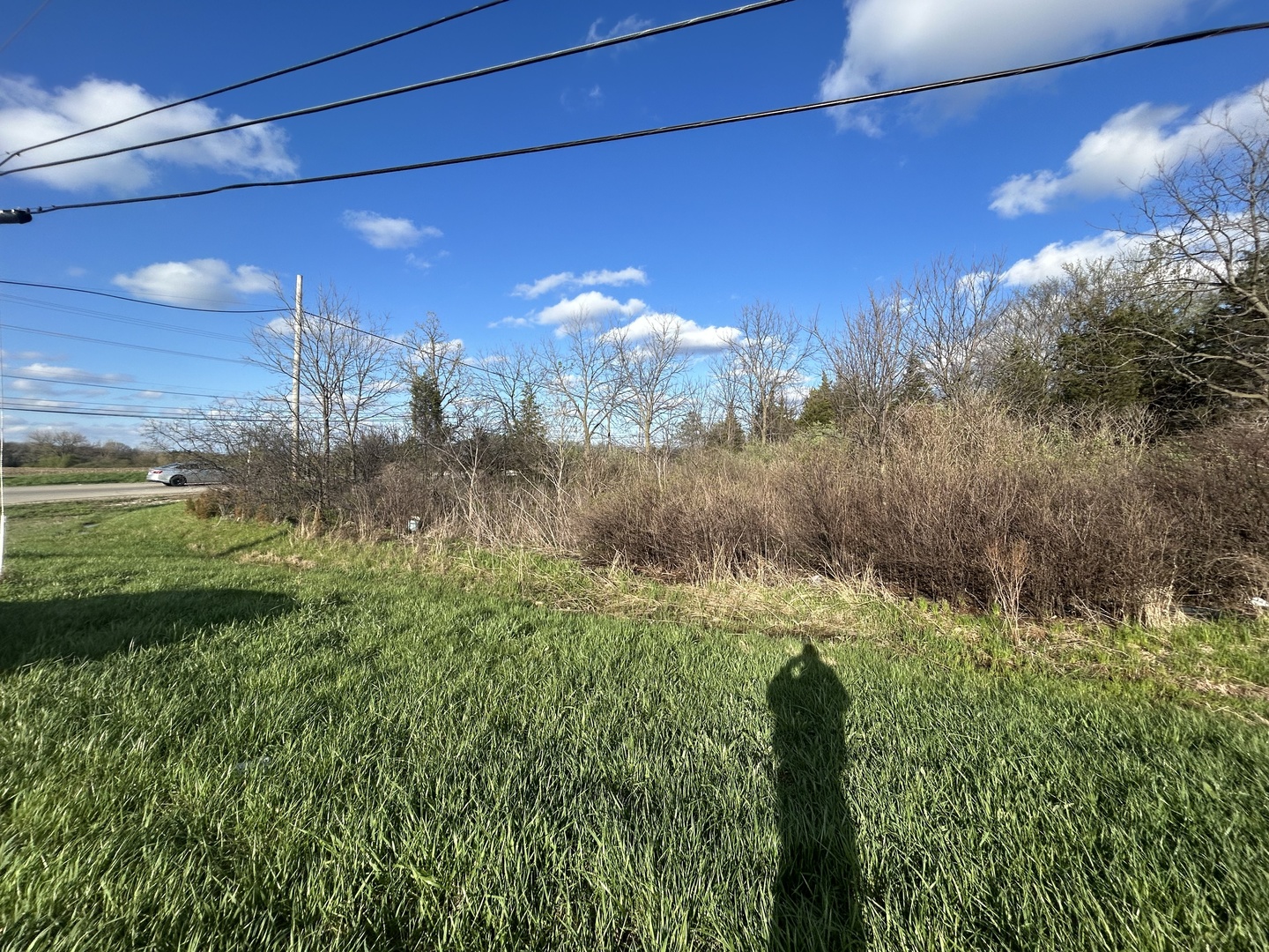 31101 North Fairfield Road Grayslake, IL 60030 - Photo 2 of 12 a view of a yard with an tree