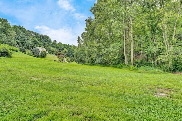 a view of a grassy field with trees