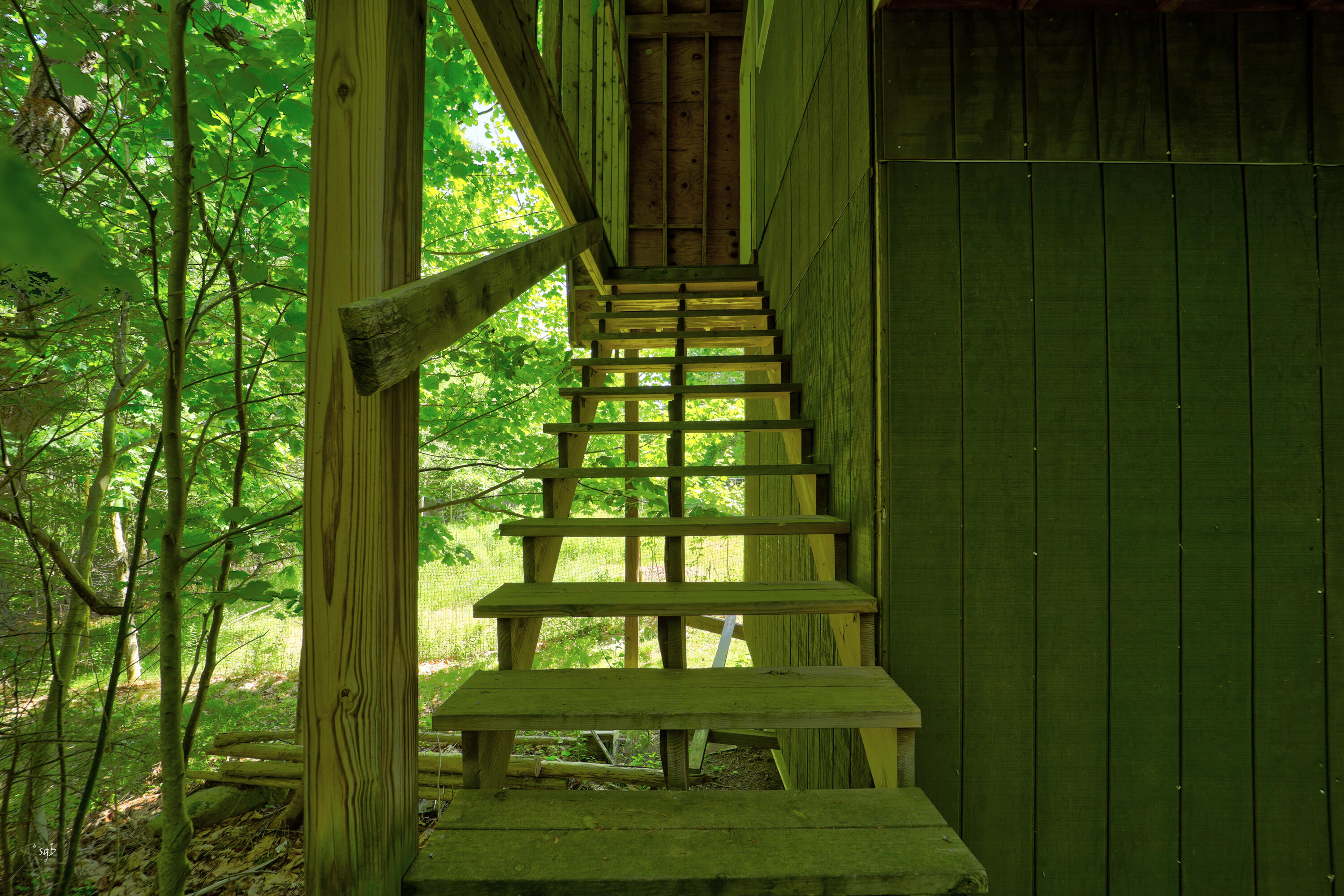 203 Turkey Farm Road Blue Hill, ME 04614 - Photo 19 of 26 203_Turkey_Farm_039