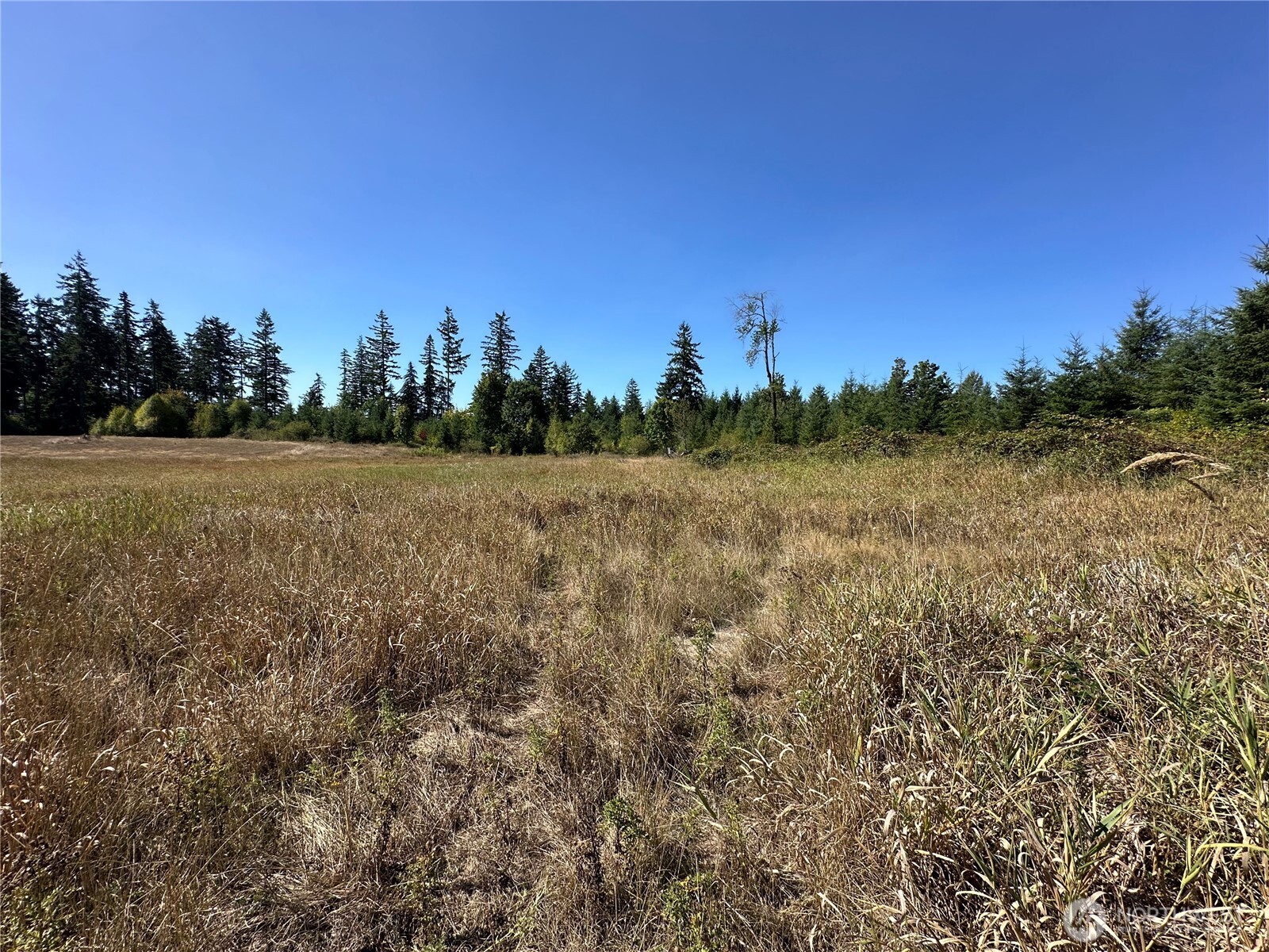 14109 Solberg Road Southeast Yelm, WA 98597 - Photo 10 of 19 Gallery Image 10
