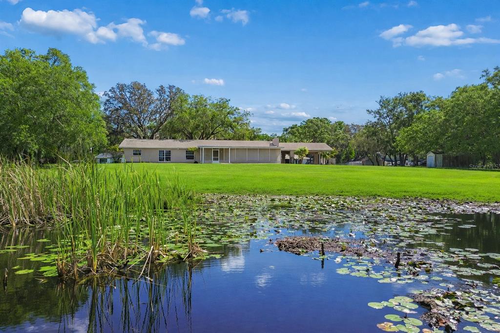 9035 Sharon Drive New Port Richey, FL 34654 - Photo 2 of 53