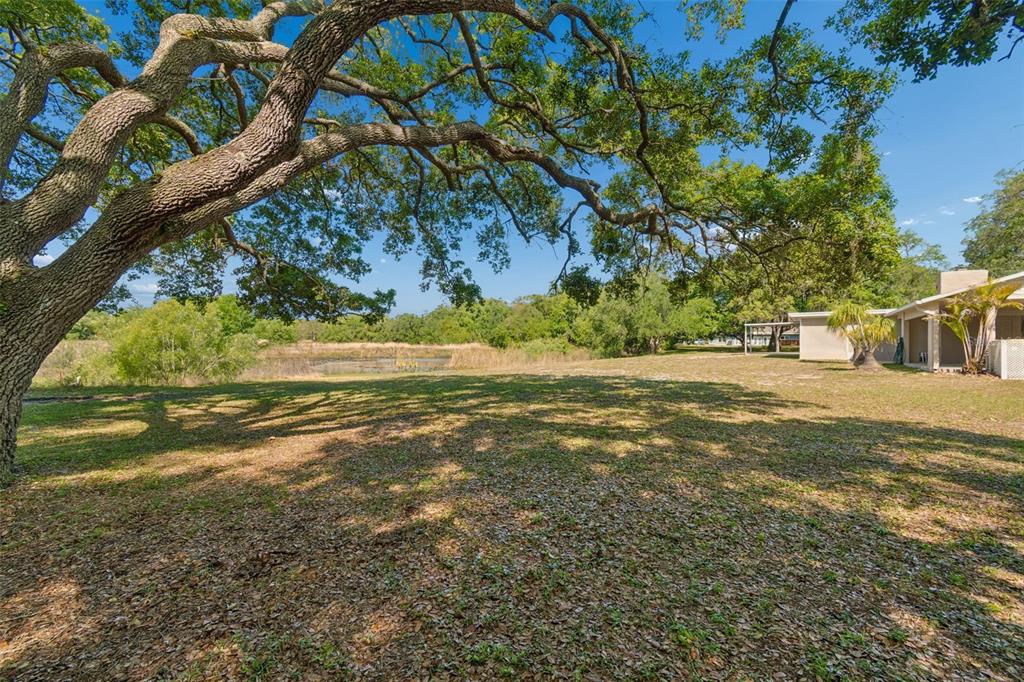 9035 Sharon Drive New Port Richey, FL 34654 - Photo 47 of 53