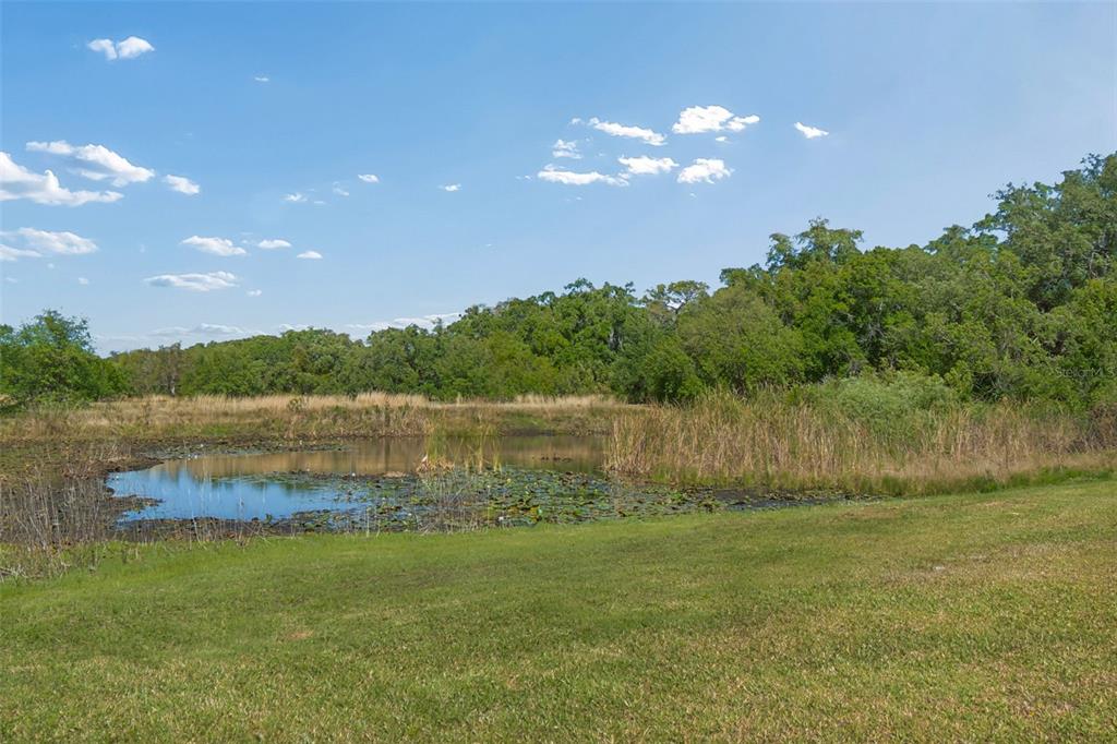 9035 Sharon Drive New Port Richey, FL 34654 - Photo 48 of 53