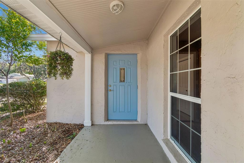 9035 Sharon Drive New Port Richey, FL 34654 - Photo 7 of 53