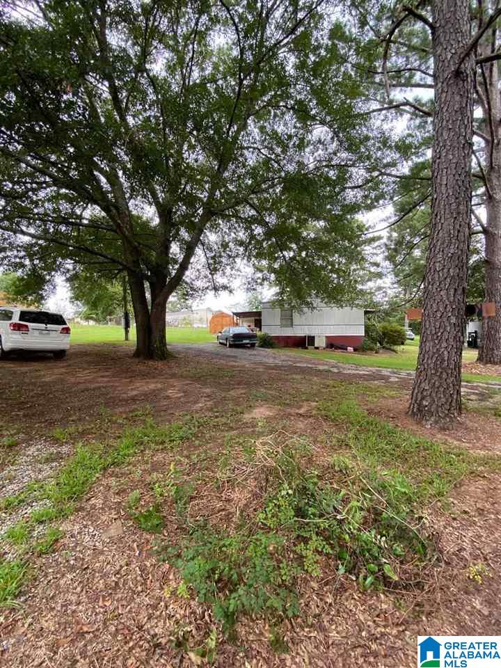 205 Flag Pole Mountain Road Sylacauga, AL 35151 - Photo 7 of 13