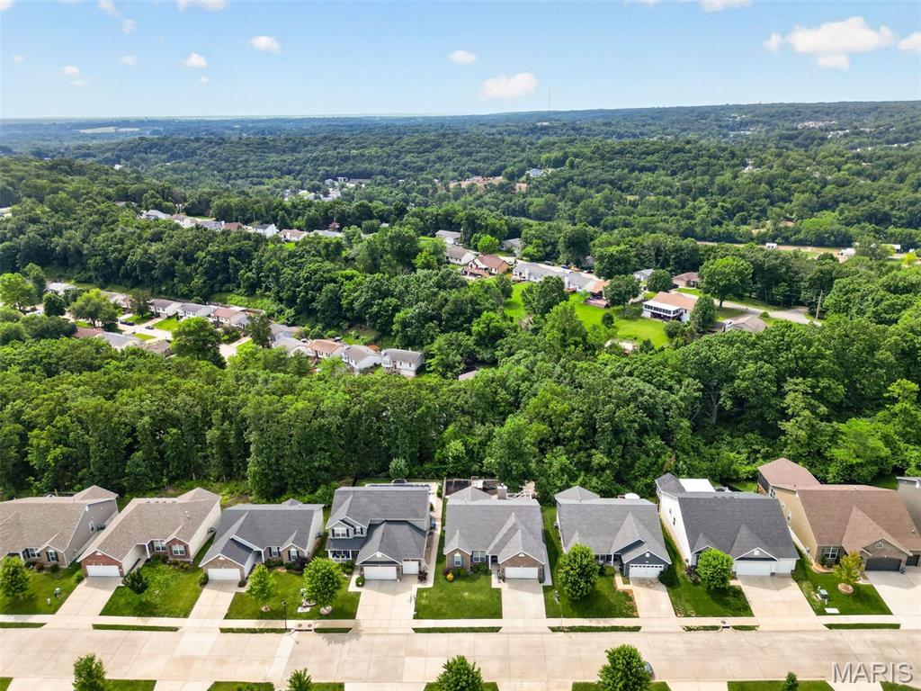 1742 Ridgeway Trail Fenton, MO 63026 - Photo 49 of 51