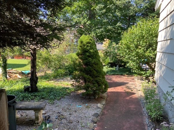 76 Woodledge Road Needham, MA 02492 - Photo 4 of 12 a view of a yard with plants and a large tree