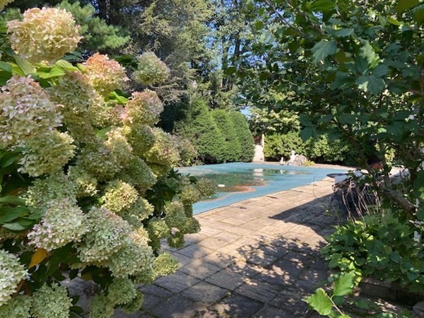 76 Woodledge Road Needham, MA 02492 - Photo 5 of 12 a view of a yard with a tree
