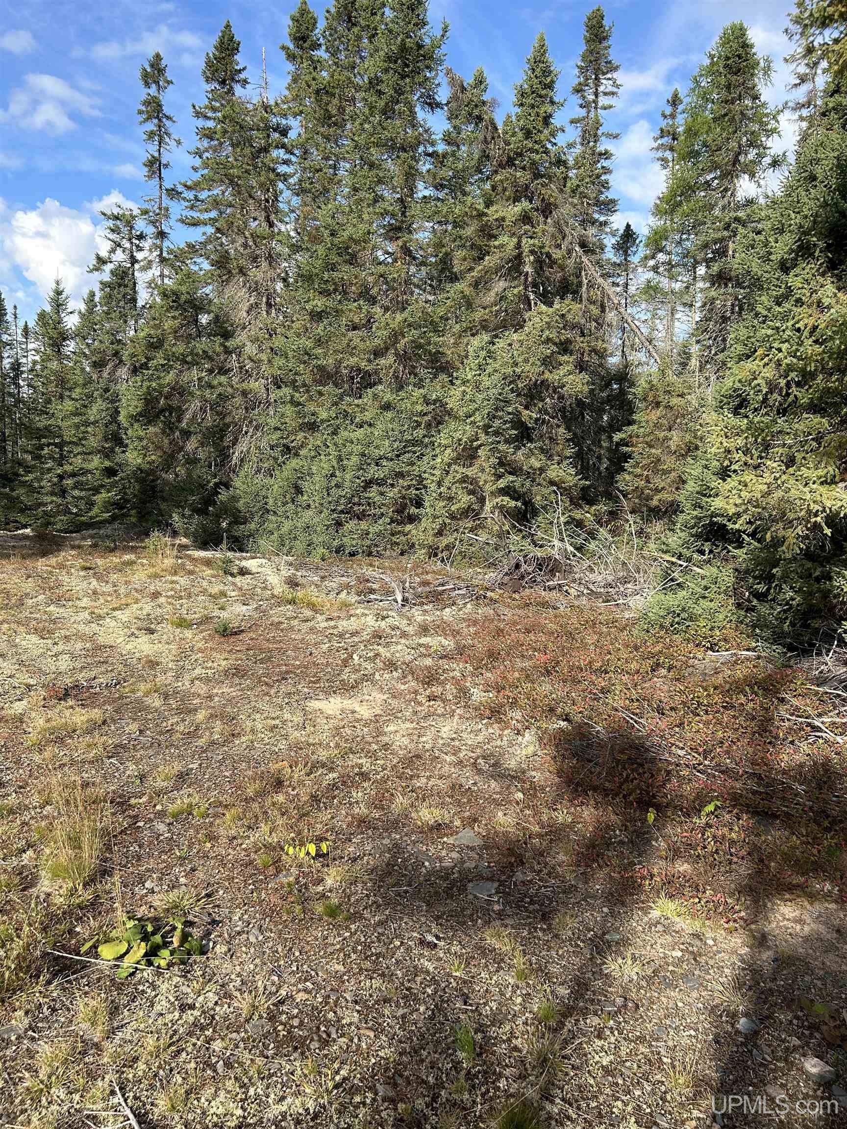 573 Rd Ishpeming Mi 49849 Road Ishpeming, MI 49849 - Photo 8 of 15