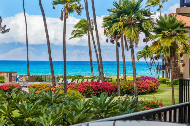 a front view of a house with a garden and swimming pool