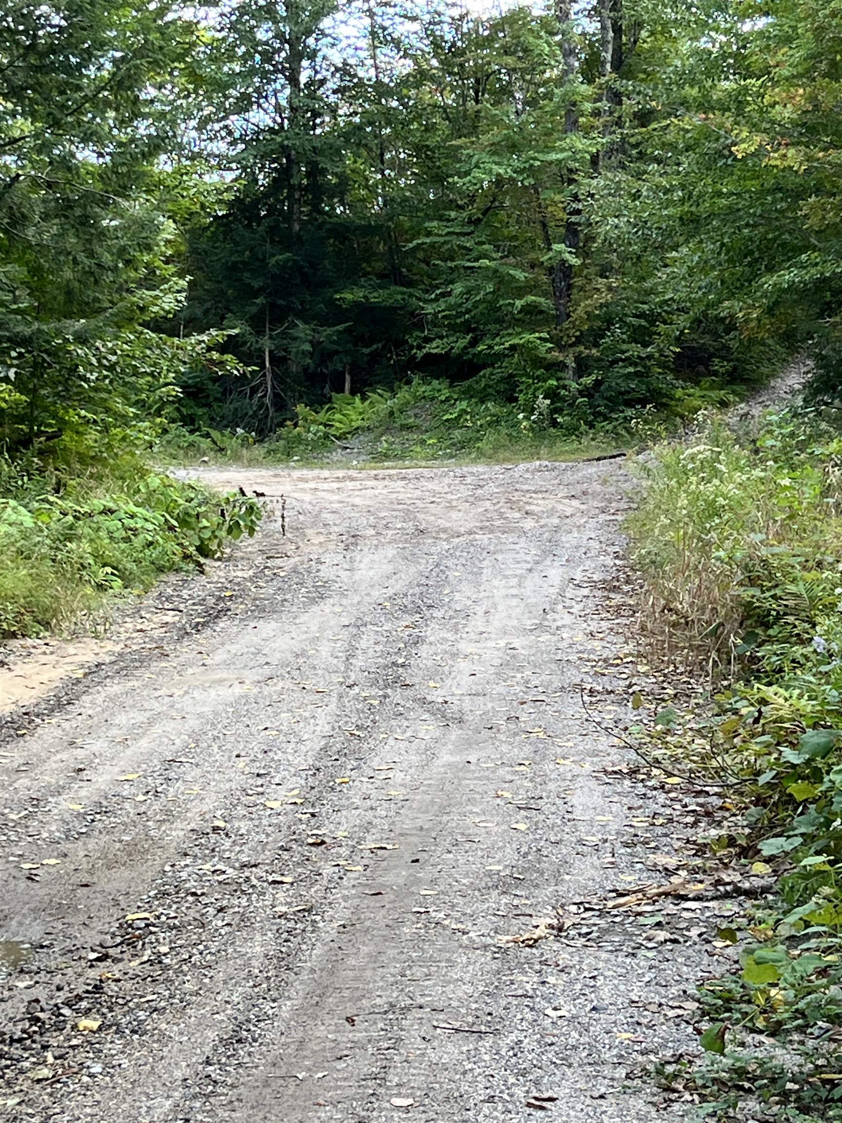 16 Pollys Crossing Road Ossipee, NH 03864 - Photo 5 of 16 Gallery Image 5