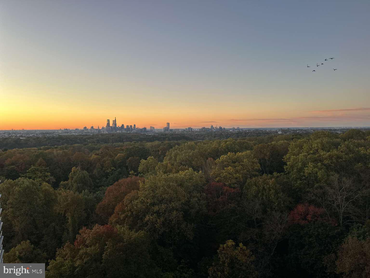 3900 West Ford Road, Unit 18K Philadelphia, PA 19131 - Photo 2 of 49 a view of a city with lush green forest