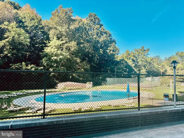 a view of a large tree with an outdoor seating