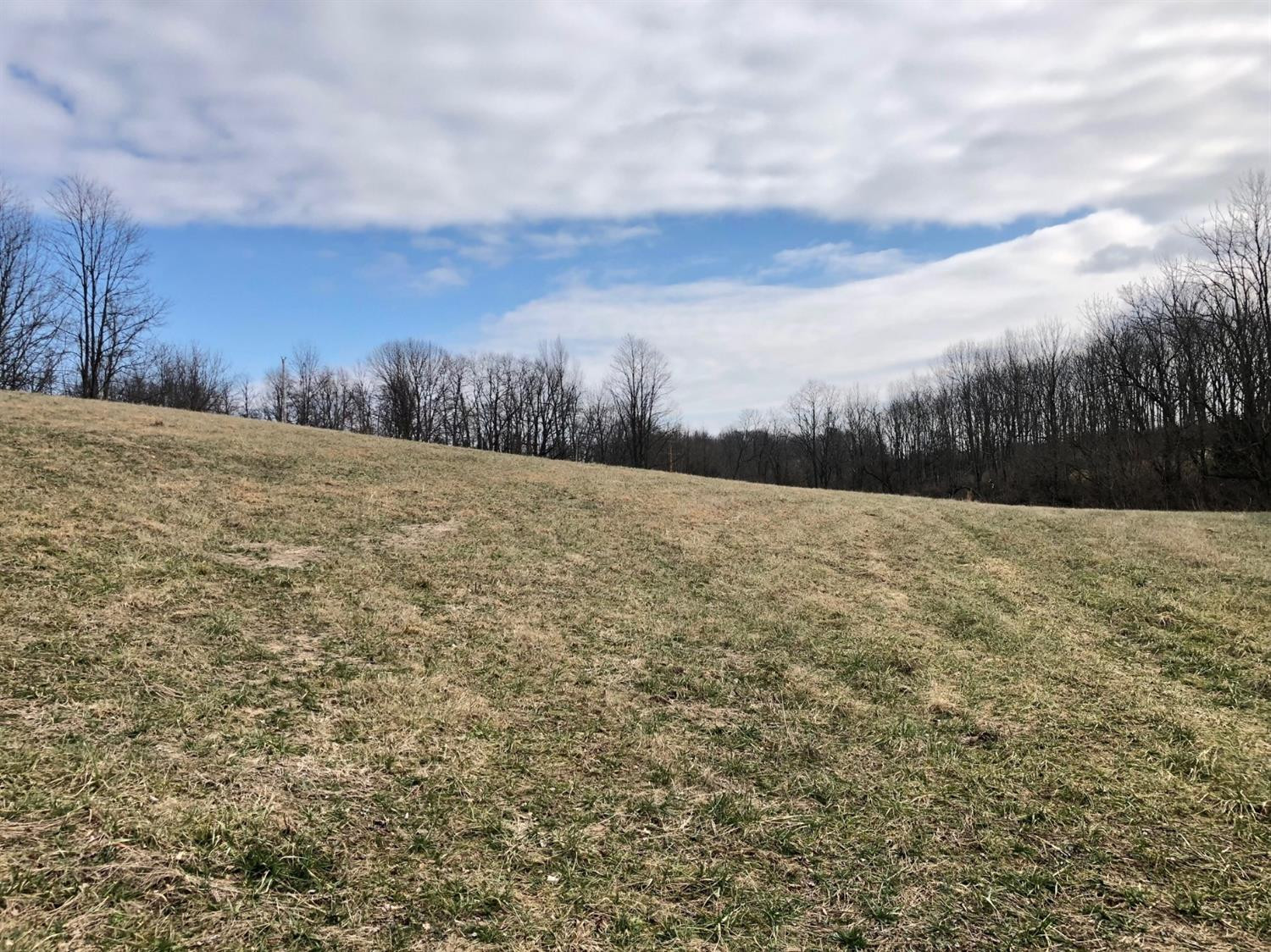 4865 Ironworks Road Winchester, KY 40391 - Photo 13 of 39 Front field. Photo taken 1/19