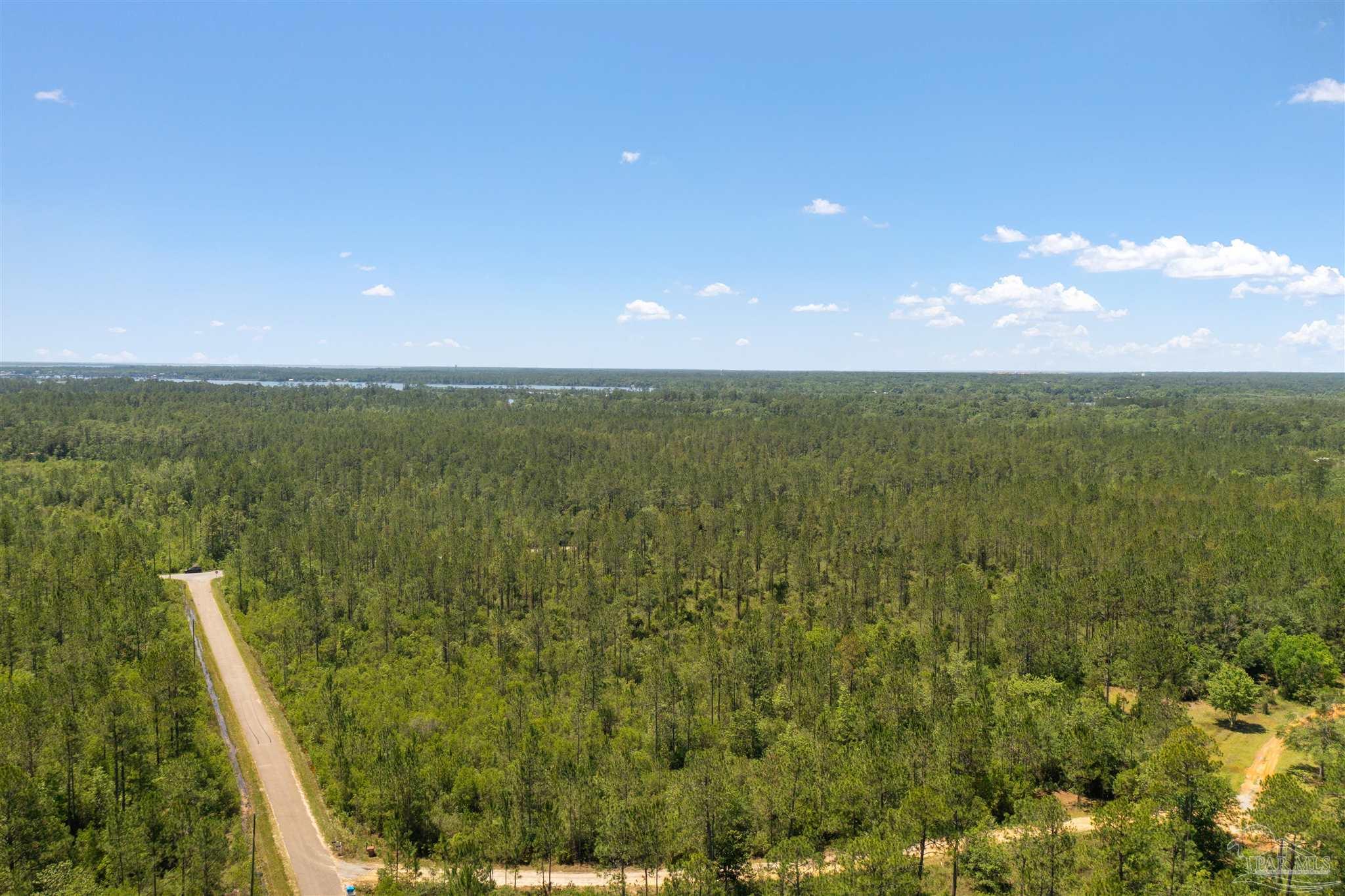 Airport Road Milton, FL 32583 - Photo 2 of 14 Gallery Image 2