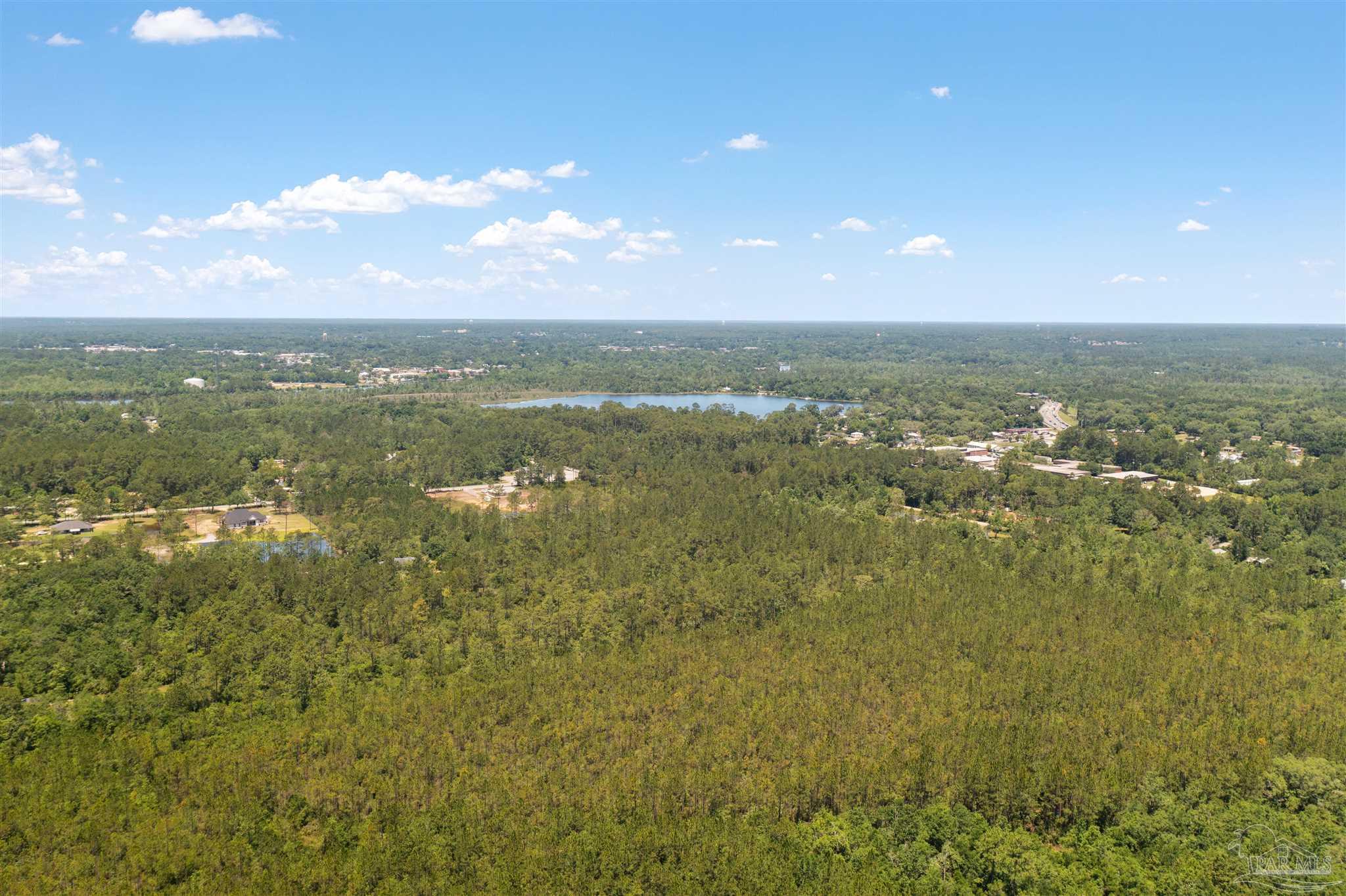 Airport Road Milton, FL 32583 - Photo 3 of 14 Gallery Image 3