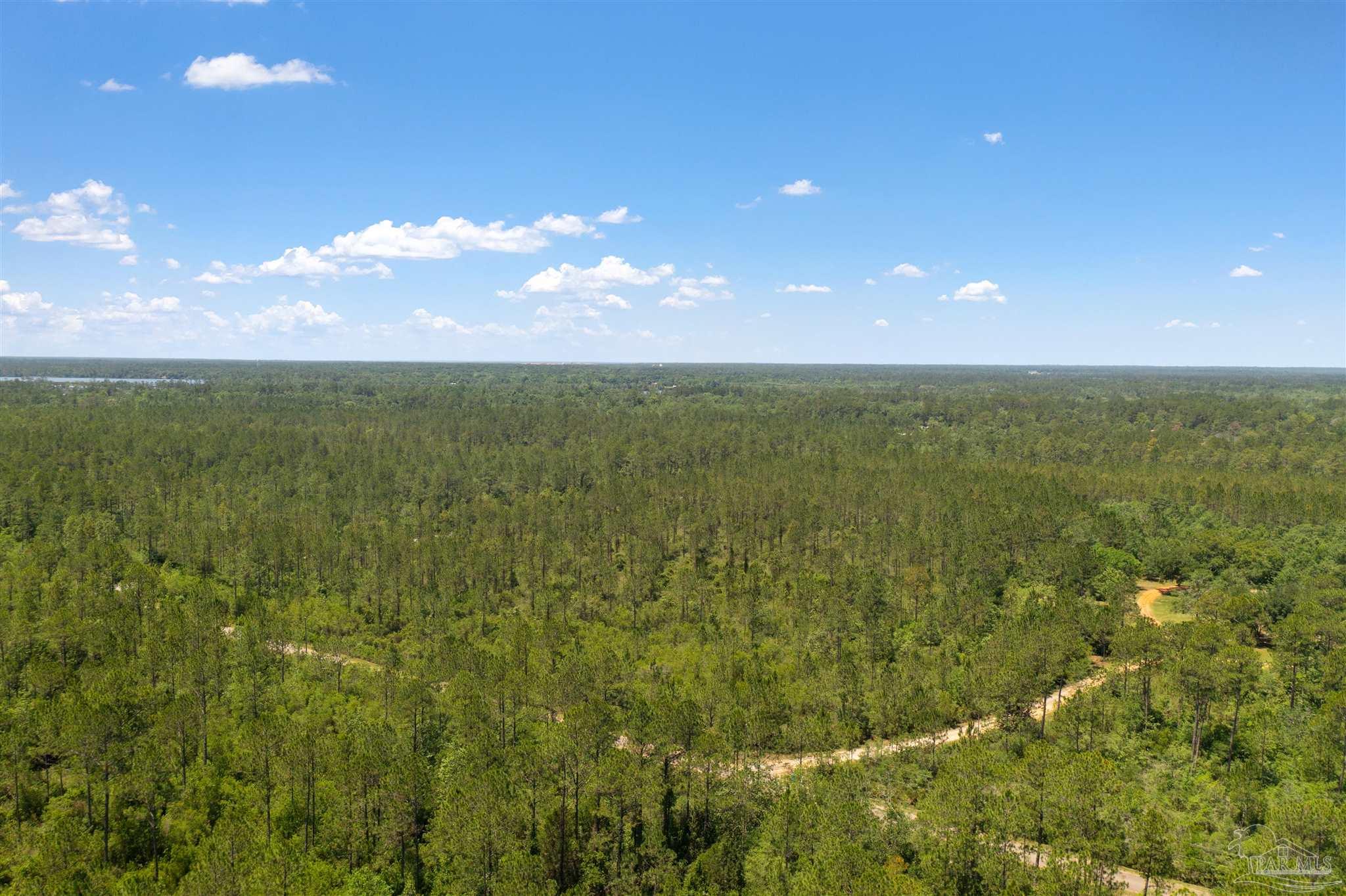 Airport Road Milton, FL 32583 - Photo 9 of 14 Gallery Image 9