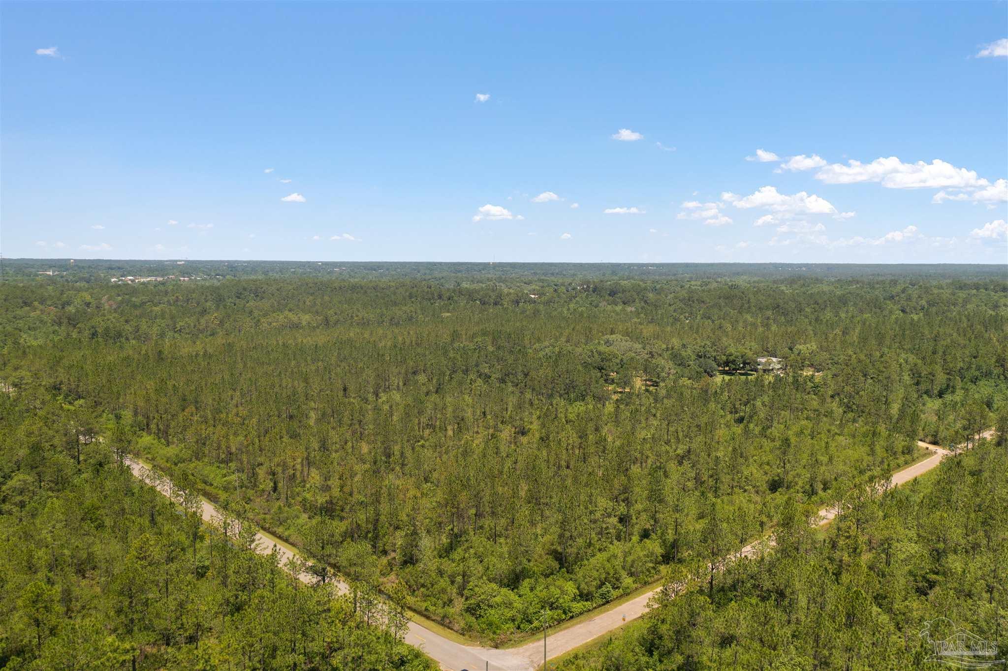 Airport Road Milton, FL 32583 - Photo 10 of 14 Gallery Image 10