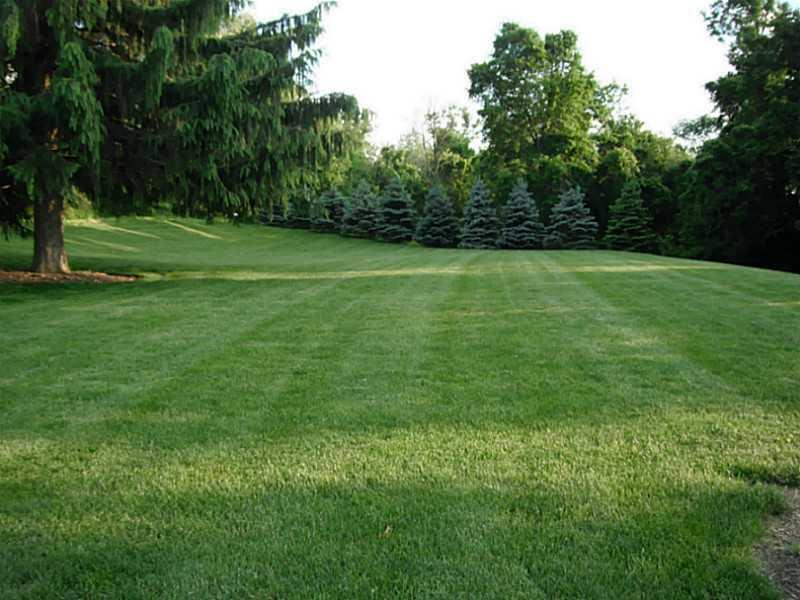 158 Scott Ridge Road Harmony, PA 16037 - Photo 25 of 25 a view of a grassy field with trees