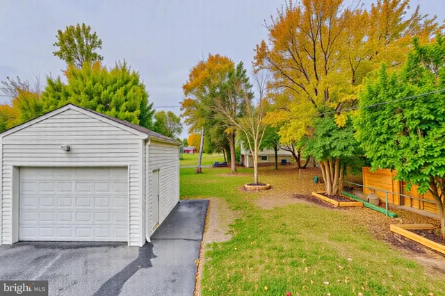 a view of a backyard with large tree