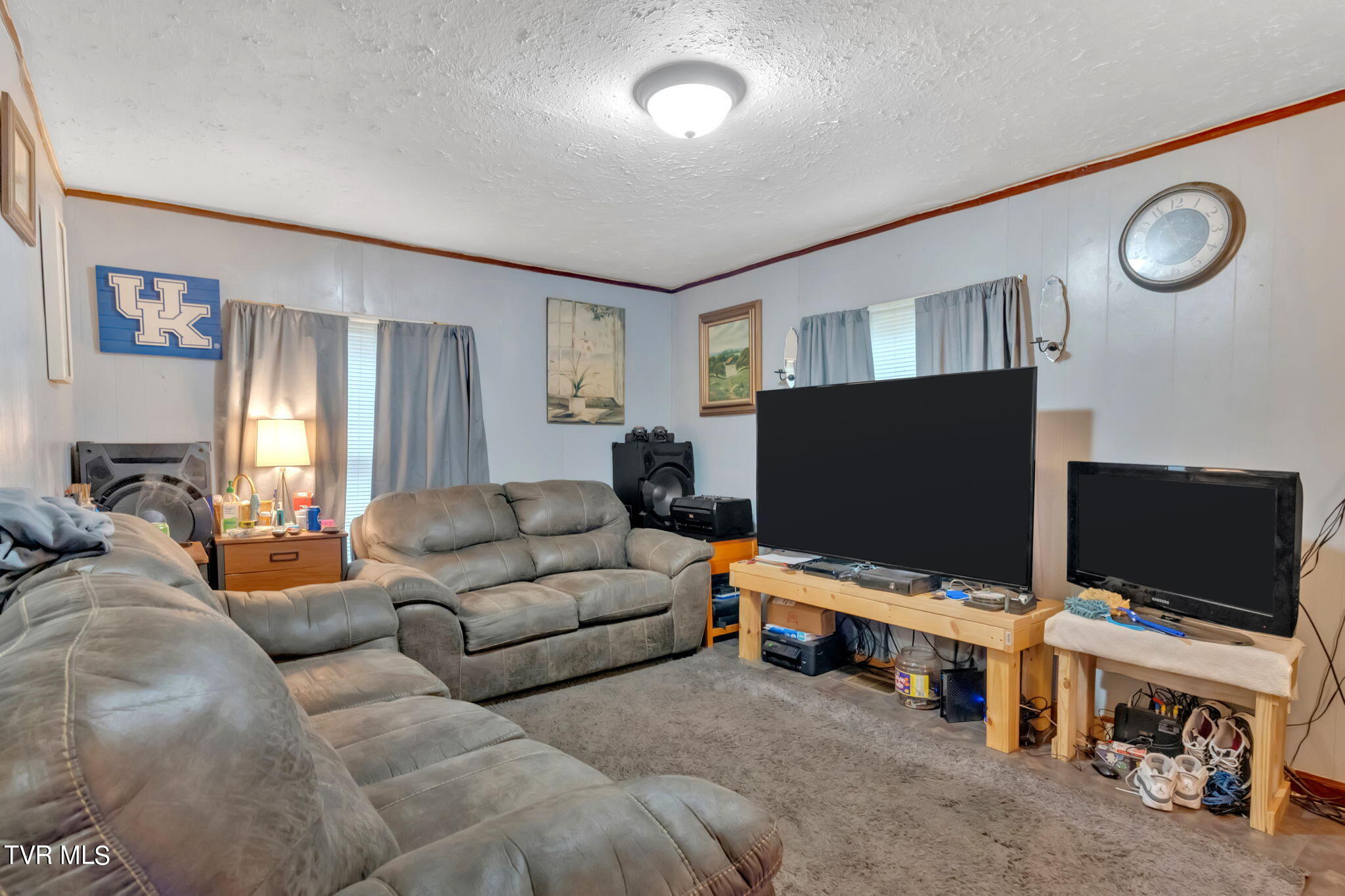 1005 Siam Road Elizabethton, TN 37643 - Photo 12 of 15 12-web-or-mls-DSC02502