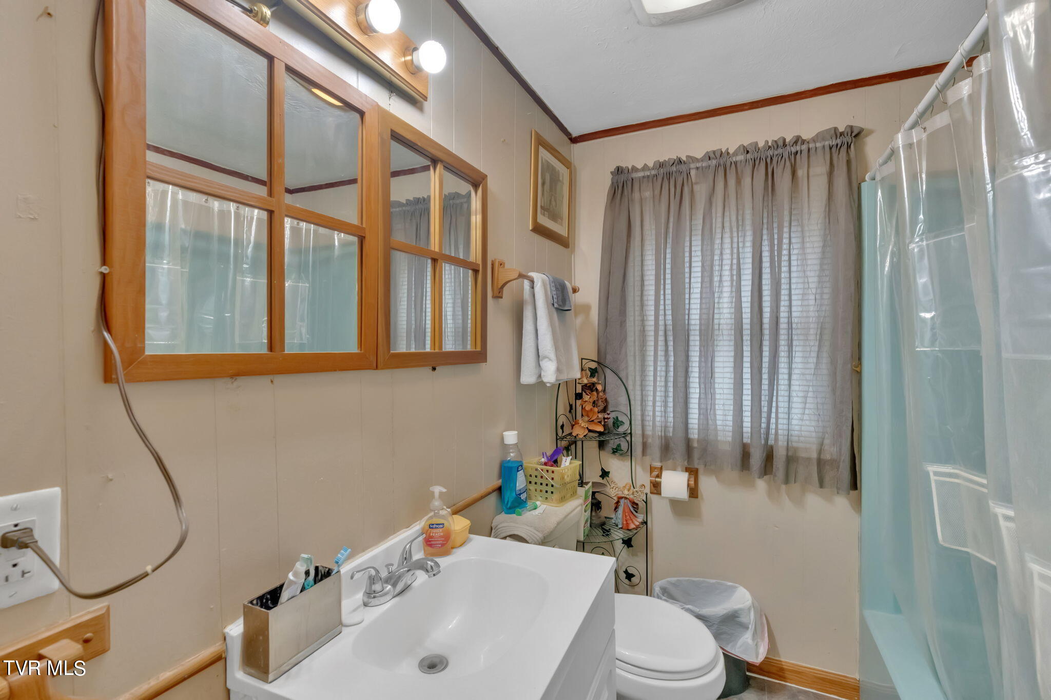 1005 Siam Road Elizabethton, TN 37643 - Photo 7 of 15 7-web-or-mls-DSC02472