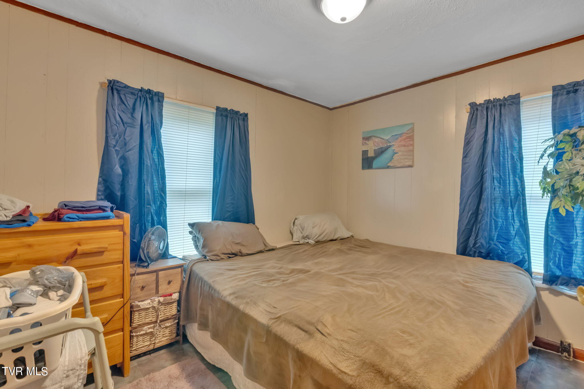 1005 Siam Road Elizabethton, TN 37643 - Photo 8 of 15 8-web-or-mls-DSC02477