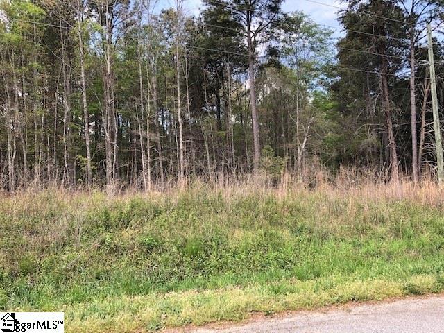 163-167 Chandler Road Pelzer, SC 29669 - Photo 1 of 3