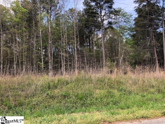 163-167 Chandler Road Pelzer, SC 29669 - Photo 2 of 3