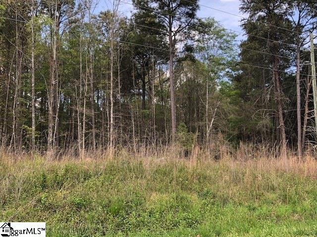 163-167 Chandler Road Pelzer, SC 29669 - Photo 3 of 3