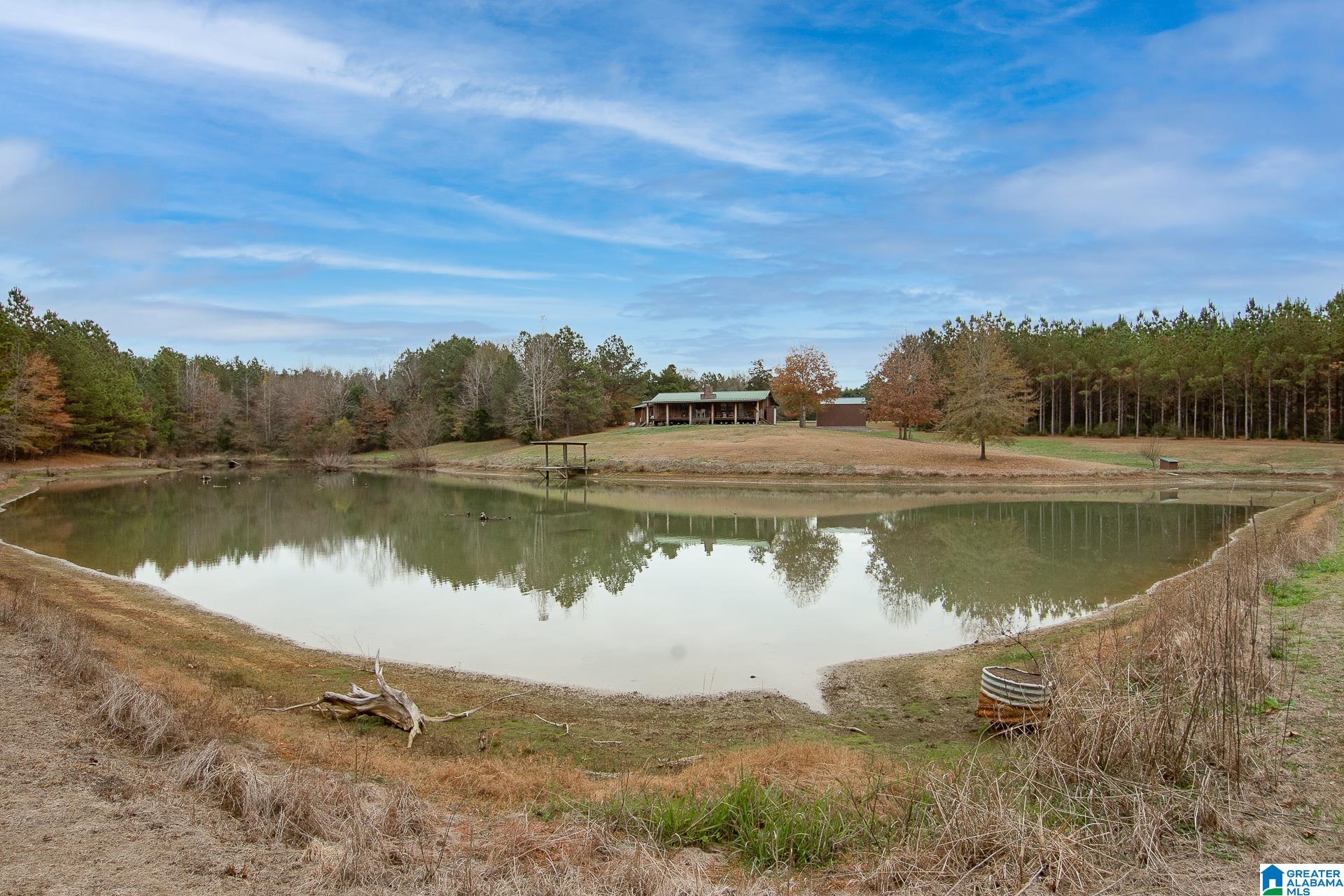 1444 Thrasher Road Sawyerville, AL 36776 - Photo 39 of 47