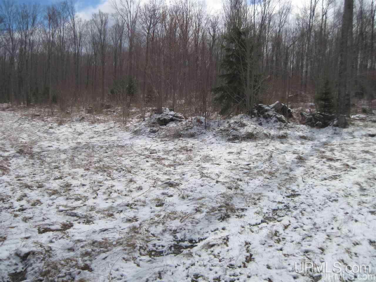 3475 Rd Iron River Iron River, MI 49935 - Photo 7 of 15