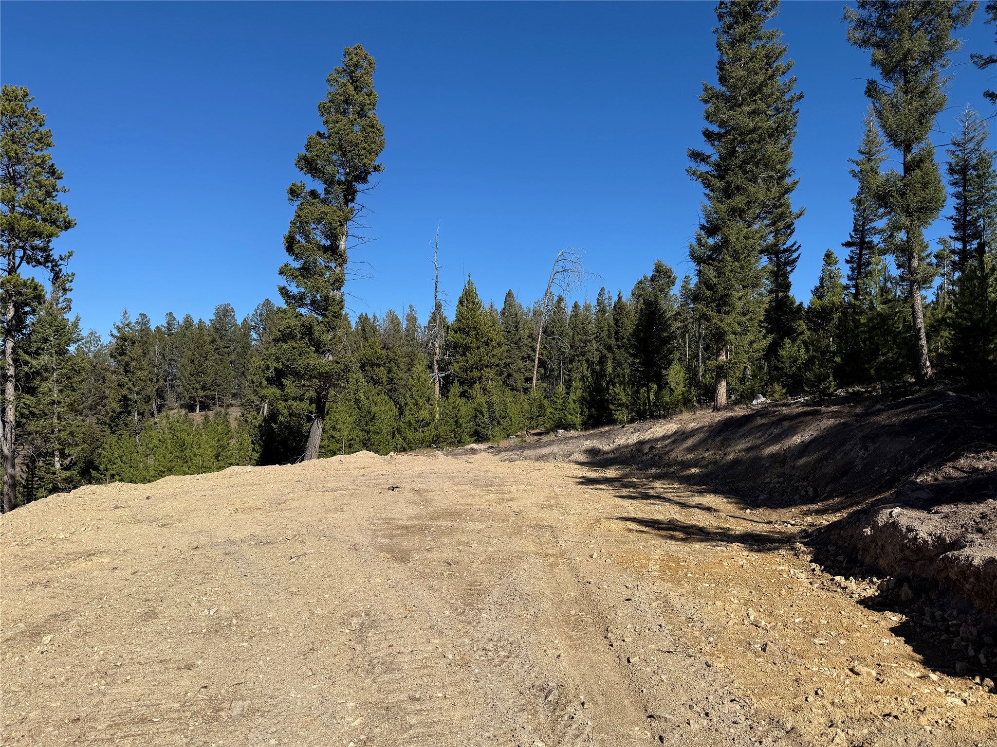 Lot 8 Ruby Street Butte, MT 59701 - Photo 31 of 34 Gallery Image 31