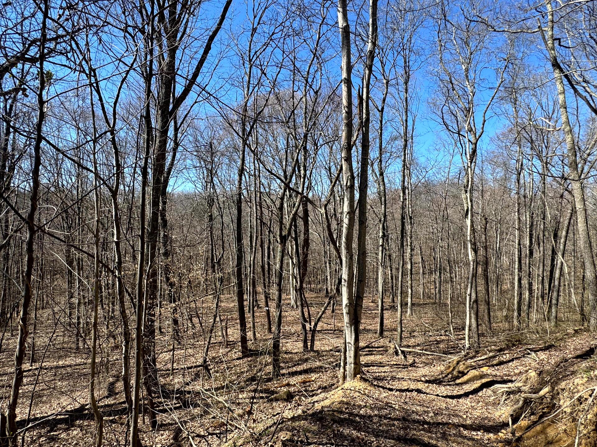 999 Poplar Ridge Road, Unit PONDS POPLAR RIDGE TRACT 15) Gallipolis, OH 45631 - Photo 28 of 34 CT-29