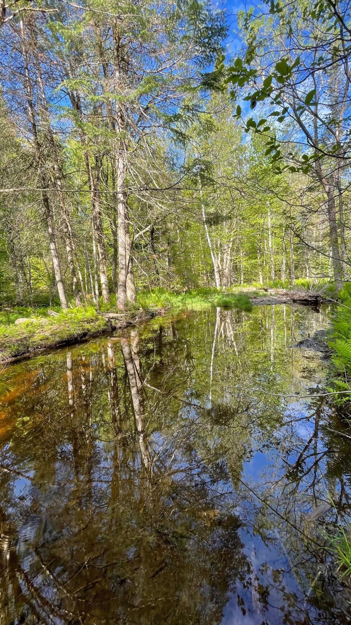 339 Long Pond Road Jackman, ME 04945 - Photo 5 of 30