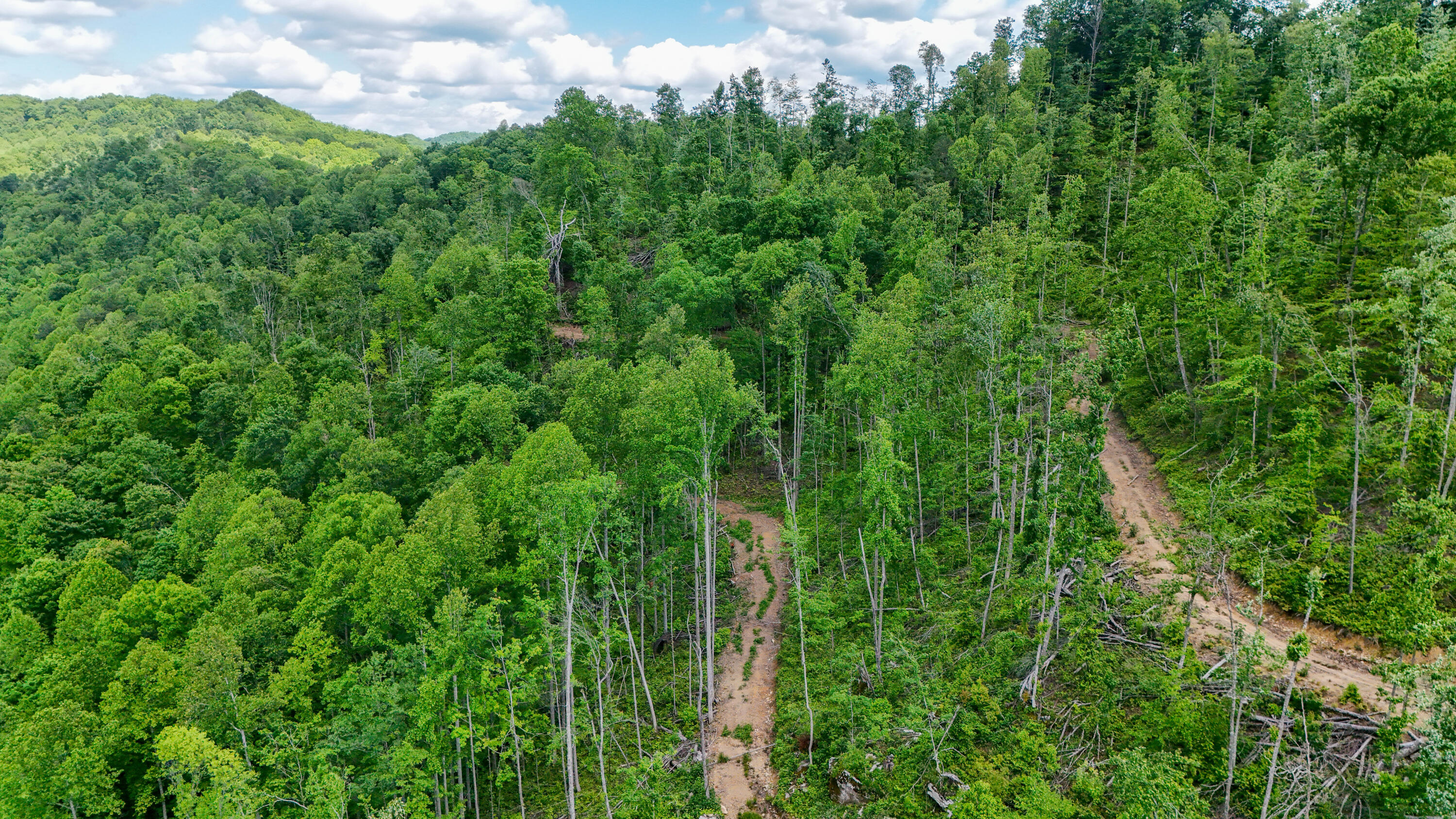 0 Amy Branch Road Essie, KY 40827 - Photo 12 of 19 LightroomRealEstateEdits-9