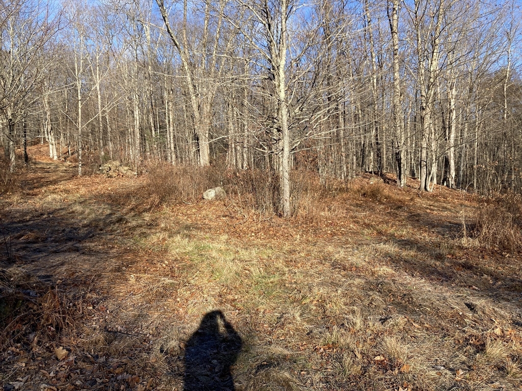 0 West Hill Road Middlefield, MA 01243 - Photo 12 of 17