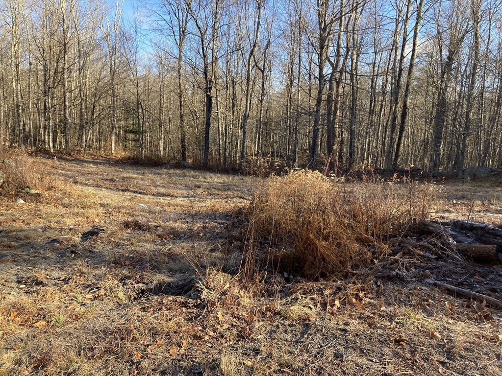 0 West Hill Road Middlefield, MA 01243 - Photo 13 of 17 a backyard of a house with a large tree