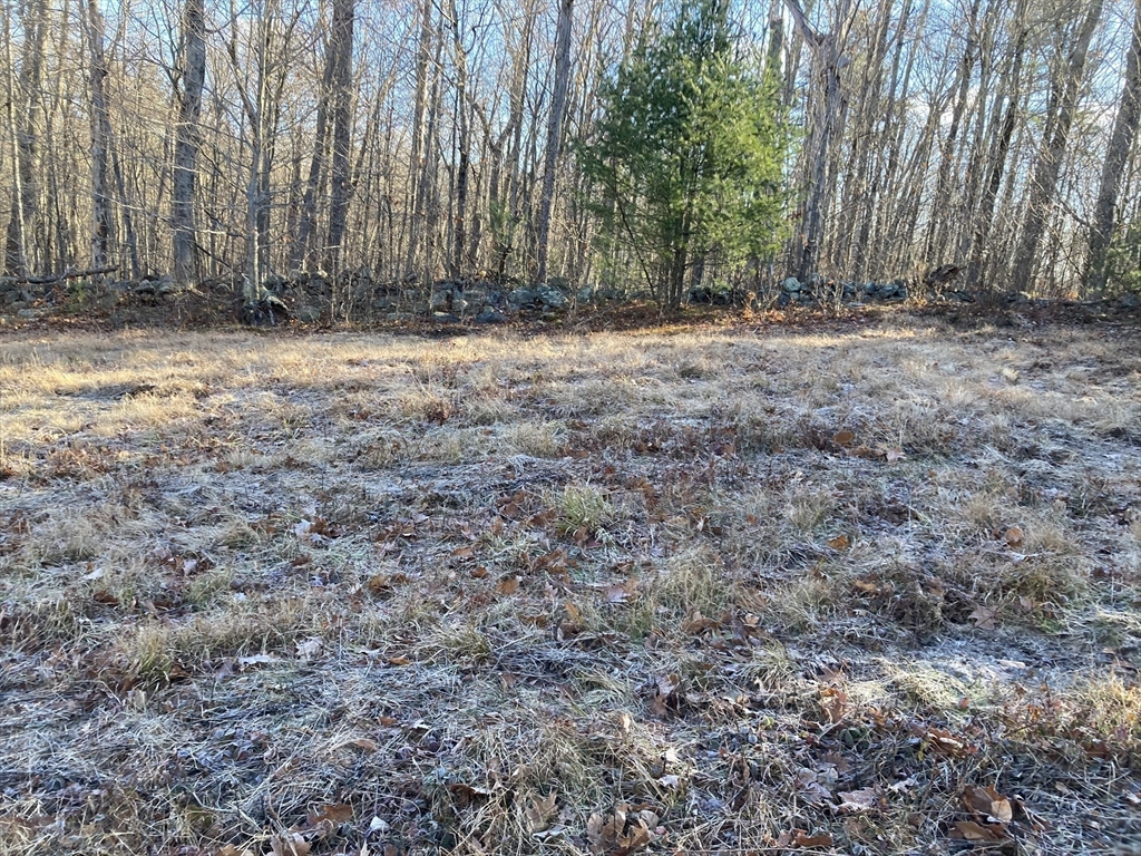 0 West Hill Road Middlefield, MA 01243 - Photo 14 of 17 a view of a yard with large trees