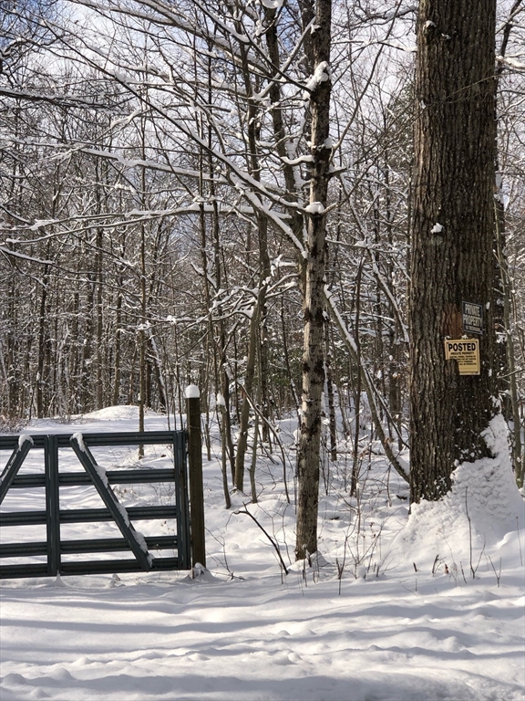 0 West Hill Road Middlefield, MA 01243 - Photo 16 of 17 a view of outdoor space and trees